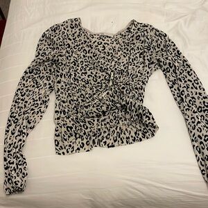 ZARA Cheetah Long Sleeve